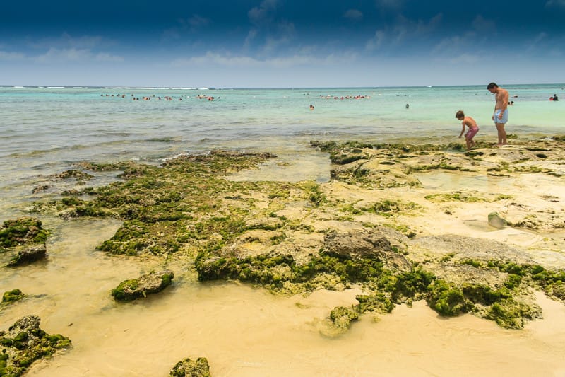 Akumal, la playa donde es posible ver tortugas marinas en la Riviera Maya 2 Akumal, la playa donde es posible ver tortugas marinas en la Riviera Maya
