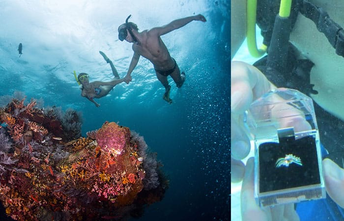 6 impactantes lugares en México para dar el anillo 4 6 impactantes lugares en México para dar el anillo