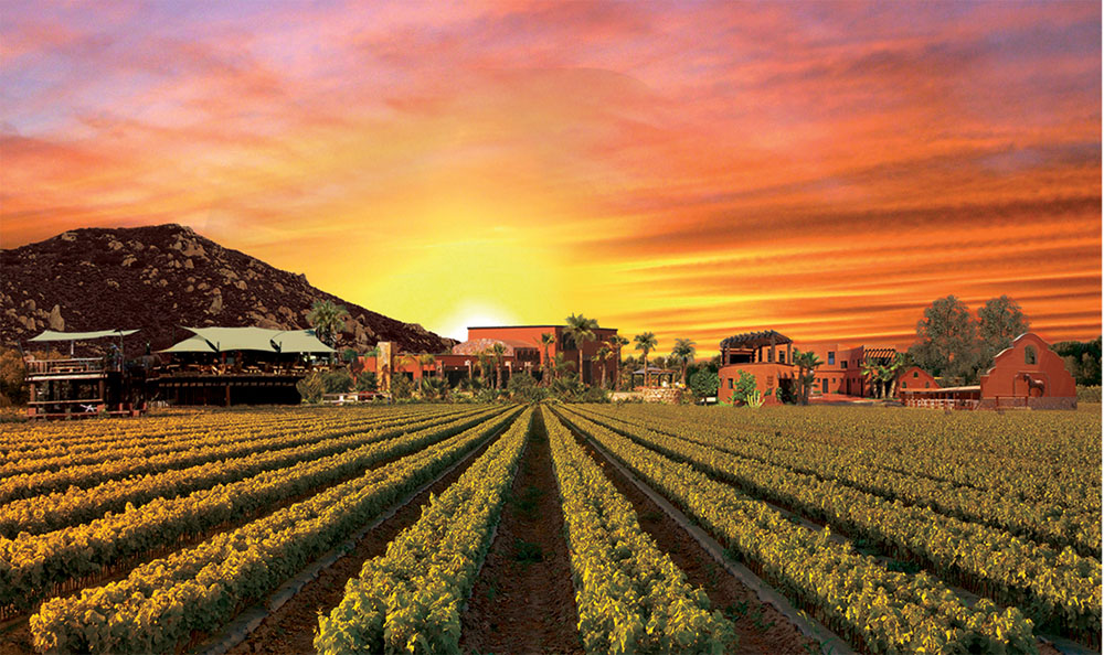 Fin de semana en Valle de Guadalupe y sus alrededores 1 Fin de semana en Valle de Guadalupe y sus alrededores