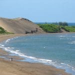 Chachalacas 132 Chachalacas