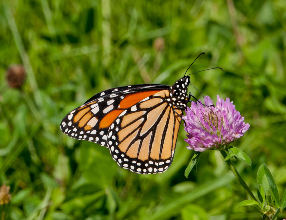 Maravíllate con hermosos lugares de nuestro México