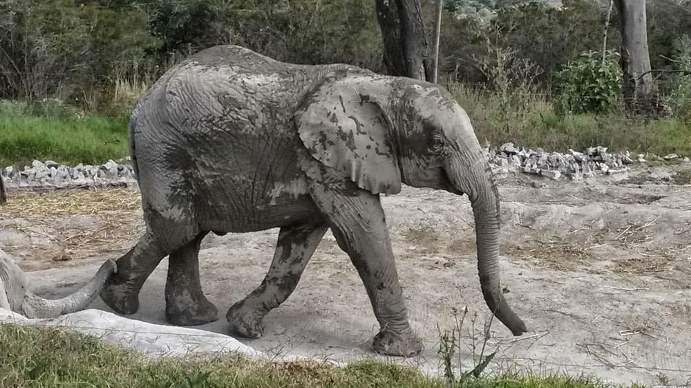Atractivos turísticos para niños