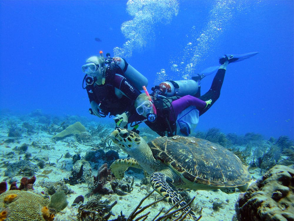 Buceo en Cancún, una actividad para los más arriesgados 1 Buceo en Cancún