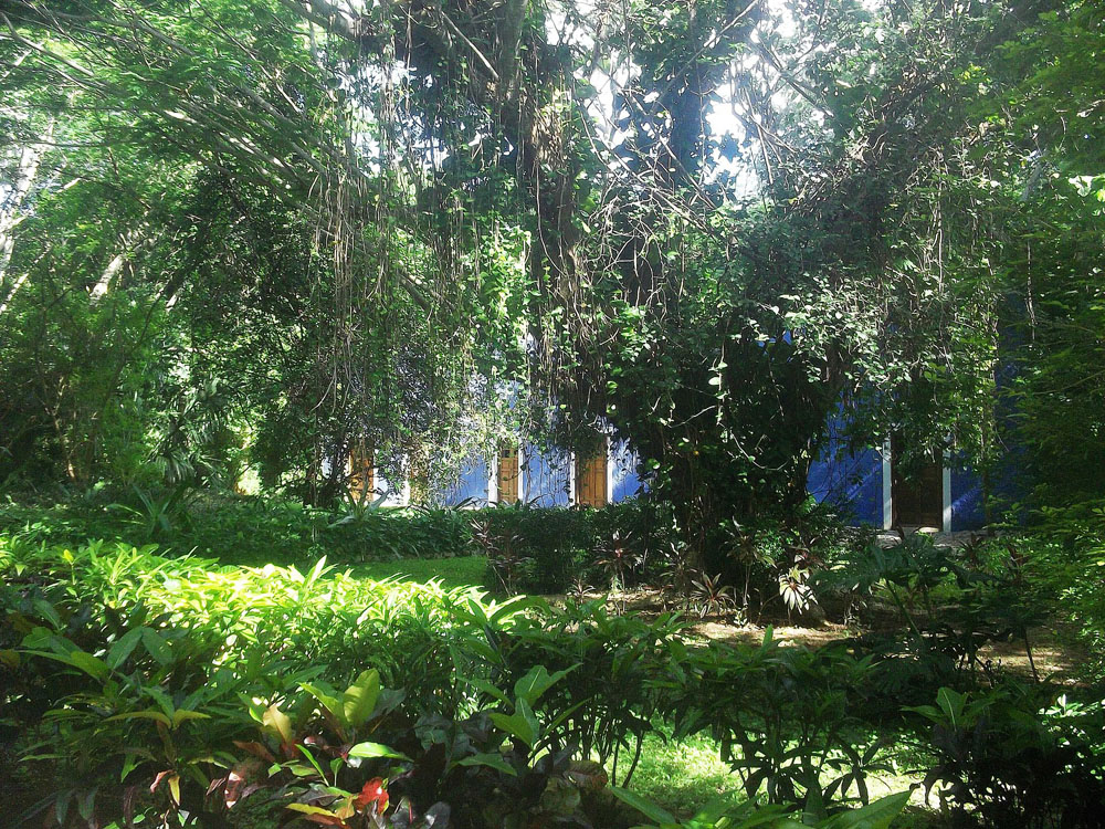 Visita la frondosa y fascinante Hacienda San José en Yucatán