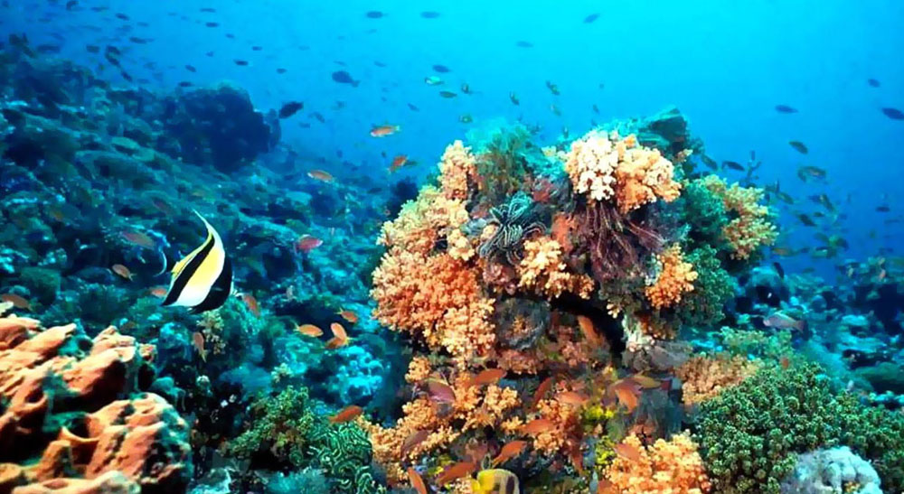 Parque Nacional Arrecife Alacranes