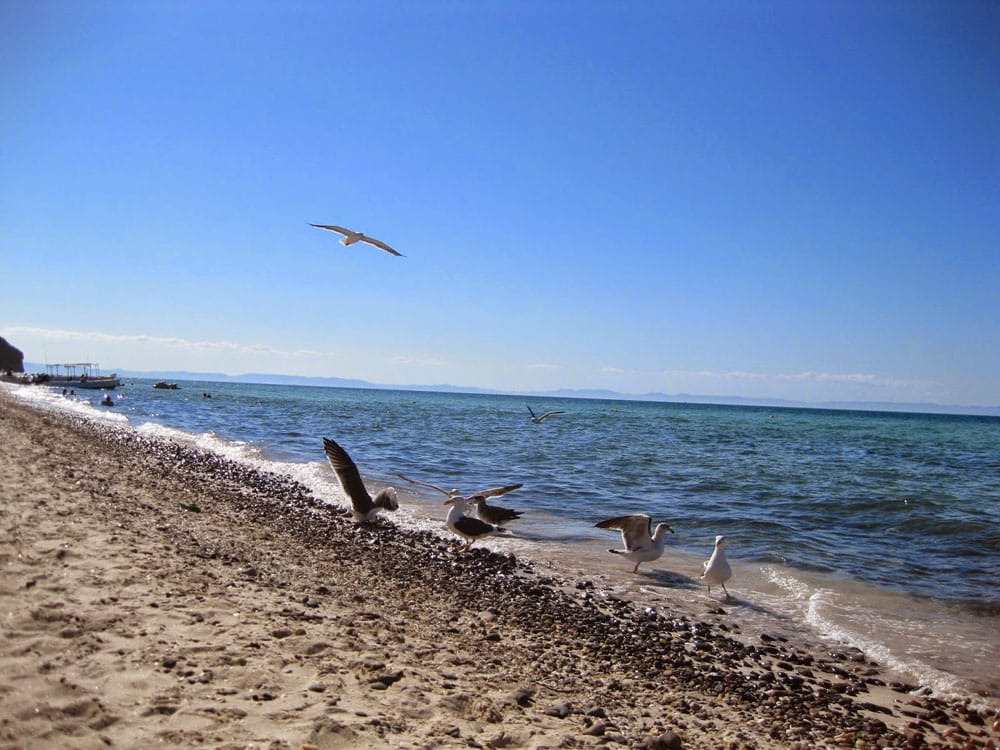 La Ventana 1 La Ventana