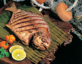 Cocina Campeche Pescados y Mariscos