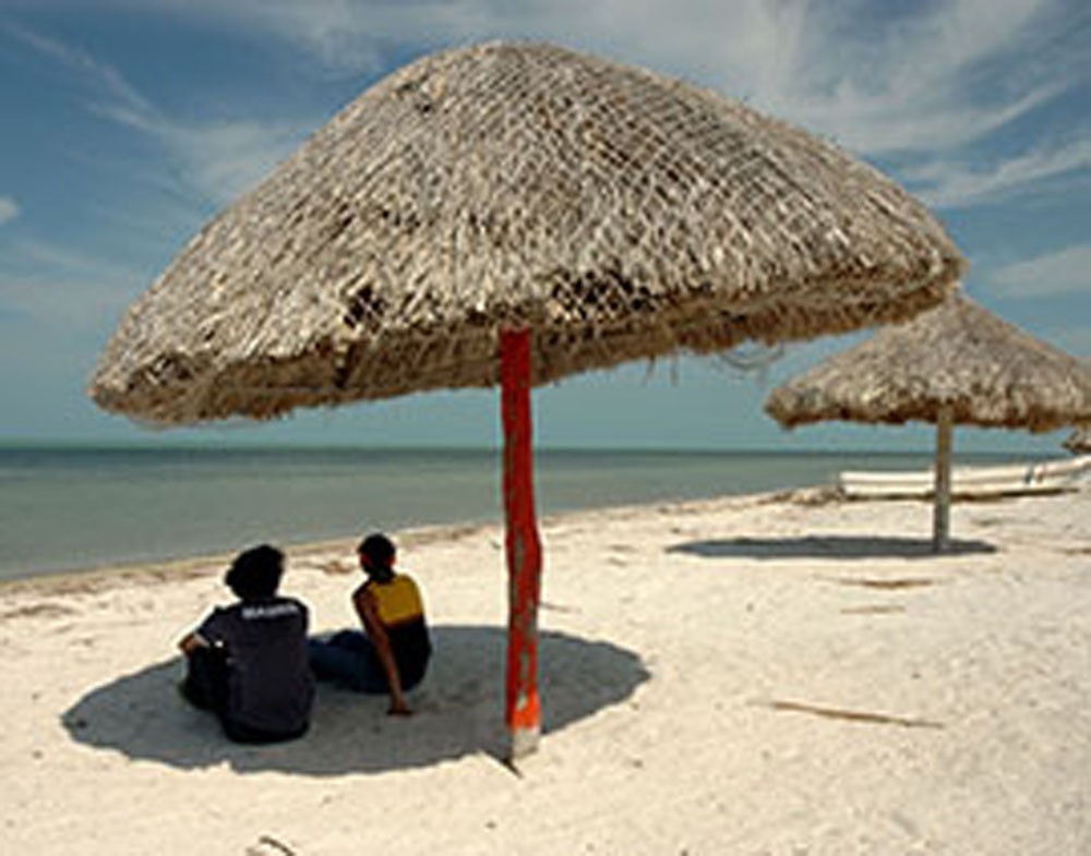 Recorrido Campeche Ecológico