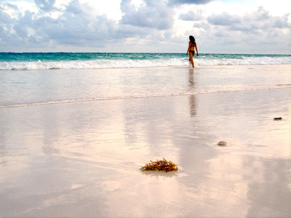 Riviera Maya los buenos hábitos 1 Riviera Maya los buenos hábitos