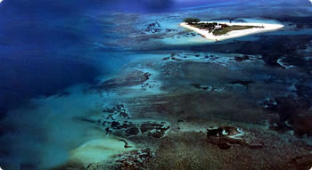 Sistema Arrecifal Veracruzano