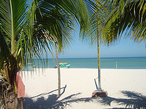 Explorando las costas de Yucatán