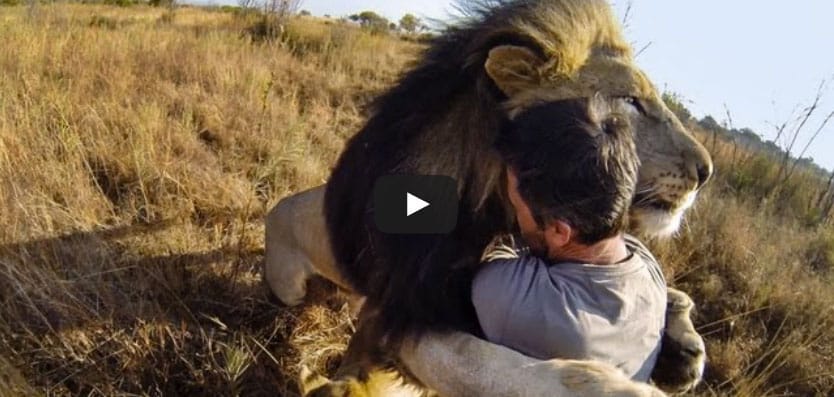 Cámaras GoPro cámara compacta aventuras a lo grande