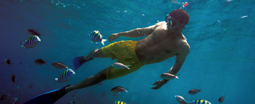 Consejos para practicar la natación en las playas mexicanas 1 Consejos para practicar la natación en las playas mexicanas