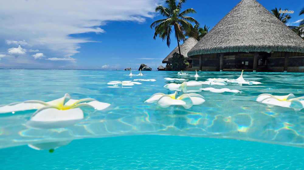 Un destino playero fantástico 1 Un destino playero fantástico