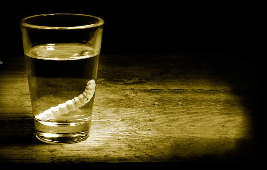 Ruta del Mezcal, Oaxaca 1 Ruta del Mezcal