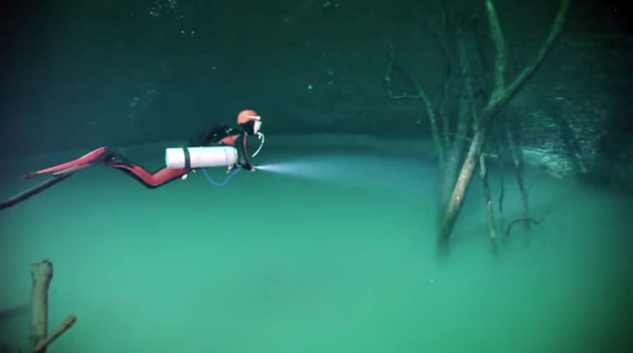 Cenote Angelita, Quintana Roo 1 Cenote Angelita