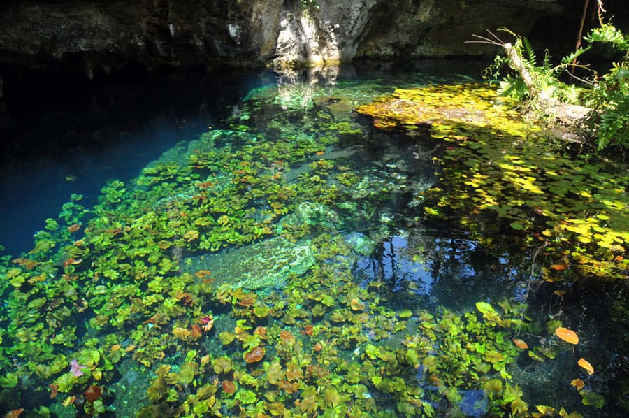 Cenote Sac Aktun