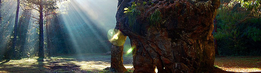 Reserva Ecológica de la Biósfera de El Cielo, Tamaulipas 1 Reserva Ecológica de la Biósfera de El Cielo