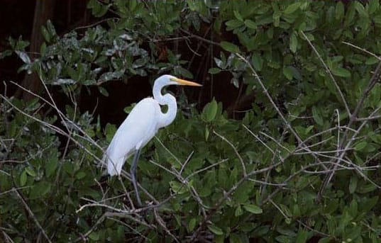 Barra Navidad Colotepec