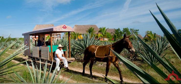 Hacienda Sotuta de Peón, Yucatan