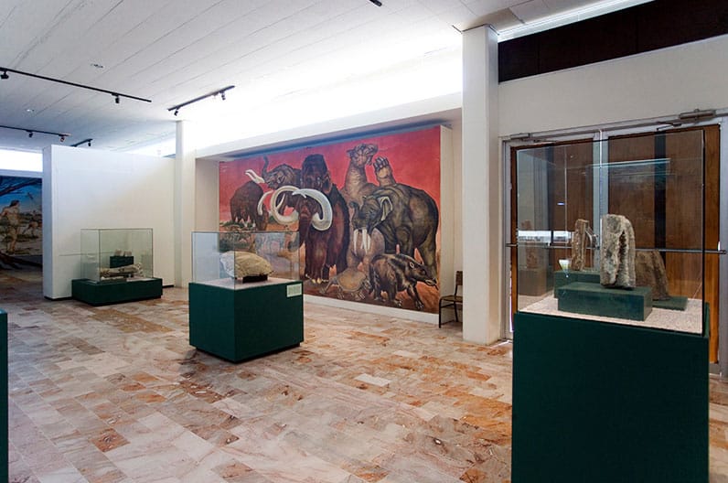 Arte y Cultura, Baja California Sur 6 Arte y Cultura, Baja California Sur