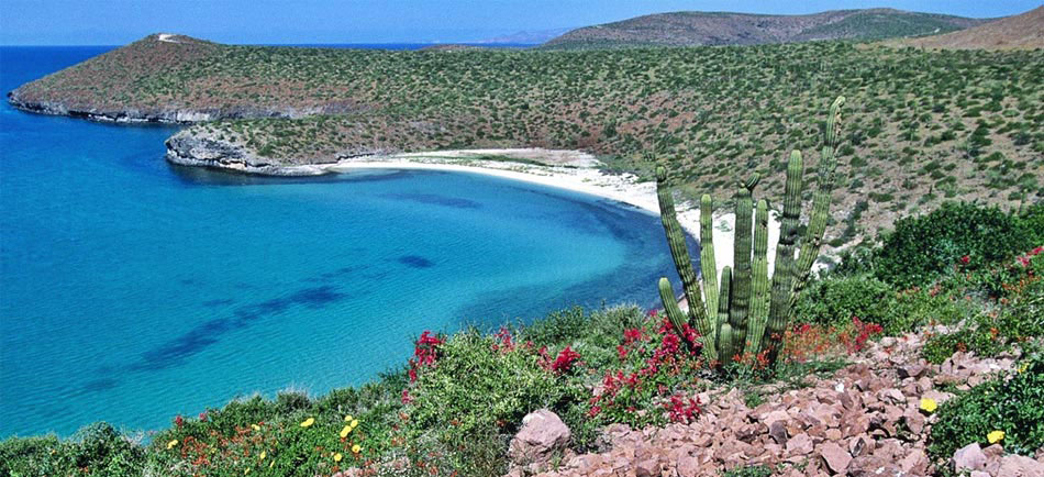 Delicias y playas en La Paz Baja California Sur