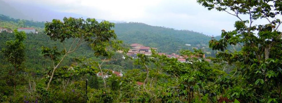 Finca La Chiripa, Chiapas