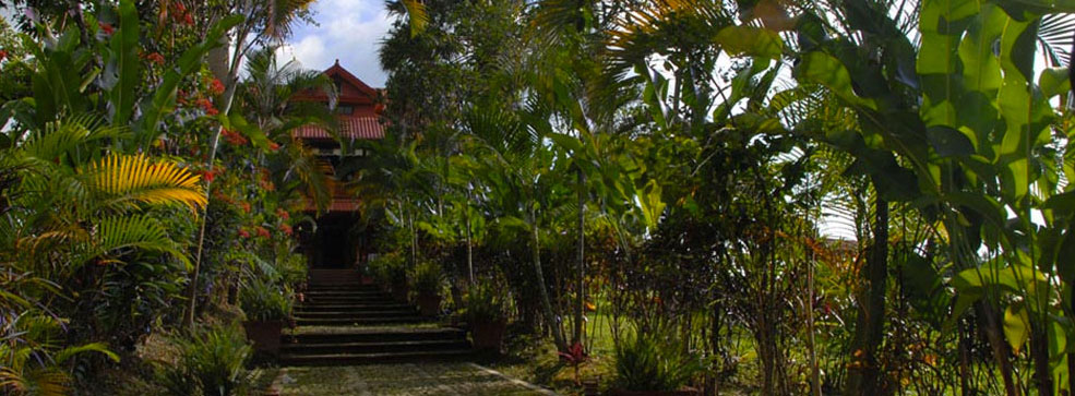 Finca Santo Domingo, Chiapas