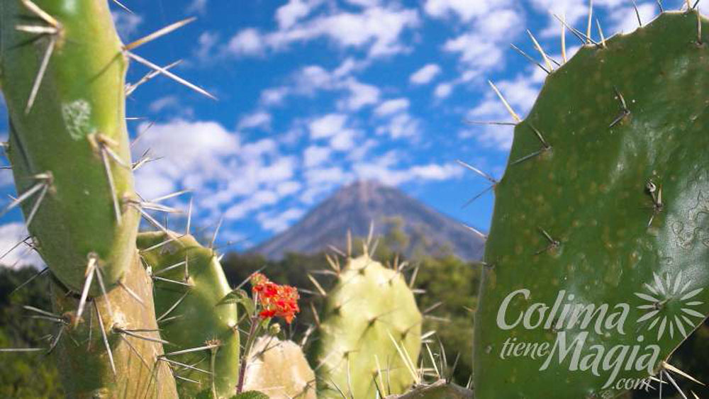 Kate Upton protagoniza el primer calendario en gravedad cero