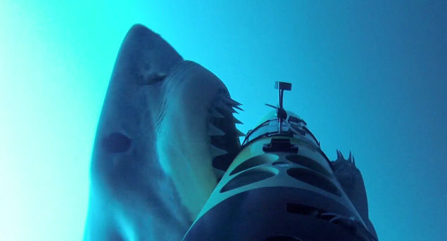 Earl, el único tablet que usaría Bear Grylls