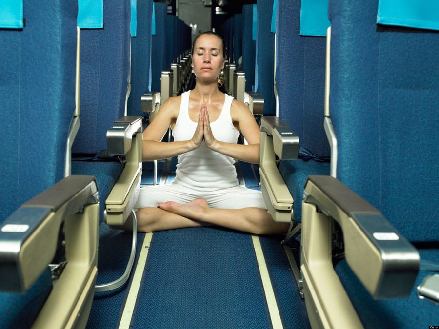 15 especies diferentes que encontrarás en un avión