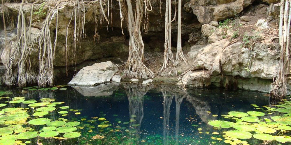 Dzom Bacal y X-Baa Tun 1 Dzom Bacal y X-Baa Tun