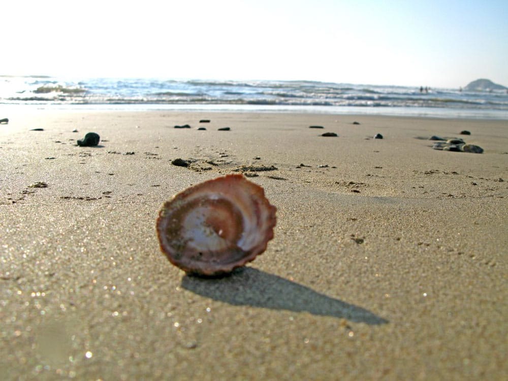 3 playas mexicanas imperdibles para los menores de 30 años