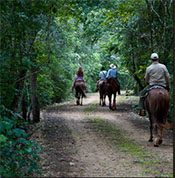 Puerto Vallarta en tacones