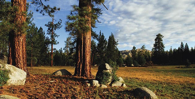 10 lugares para vivir las mejores vacaciones campiranas en México parte 2