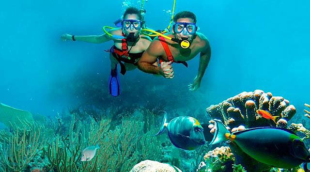 Para no perderse en Playa del Carmen 1 Para no perderse en Playa del Carmen