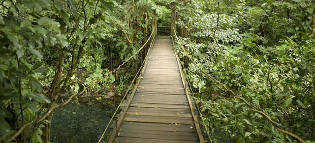 Ecoturismo en la Costa Esmeralda 1 Ecoturismo en la Costa Esmeralda