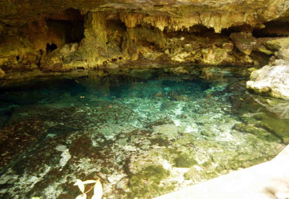 Puerto Morelos y la Ruta de los Cenotes
