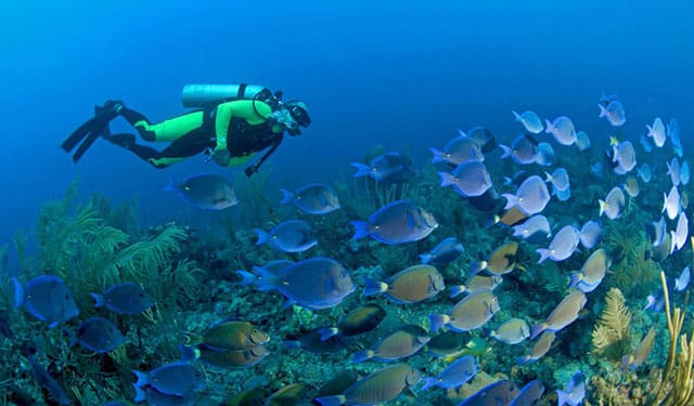 Actividades y deportes en Mahahual