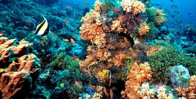 La extraña moda viajera que causa furor en internet: tus testículos en el paisaje