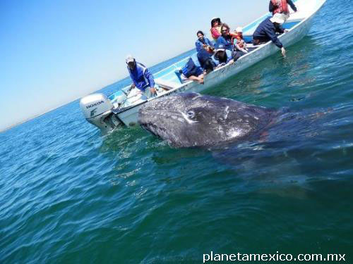 Qué visitar cerca de Sayulita