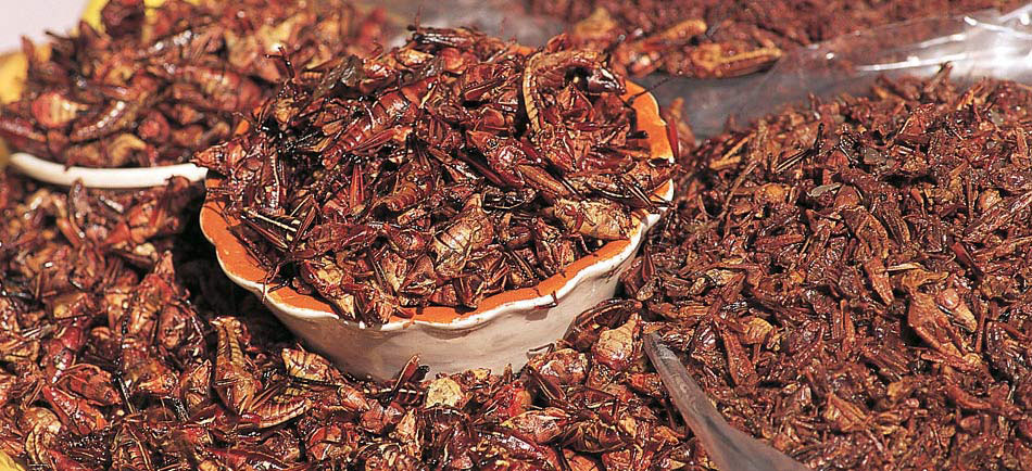 Huatulco y sus delicias