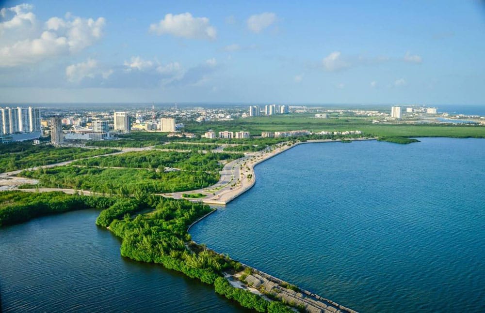 ¿Cómo era el Manglar de Tajamar? 1 ¿Cómo era el Manglar de Tajamar?