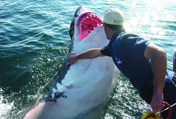 Diez viajes muy raros que no te puedes perder