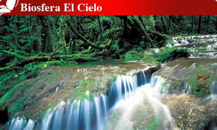 Biosfera El Cielo