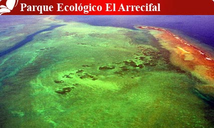 Parque ecológico El Arrecifal, Veracruz 1 Parque ecológico El Arrecifal