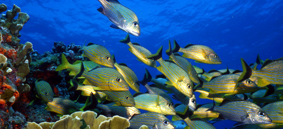 El amanecer en Sian Kaan