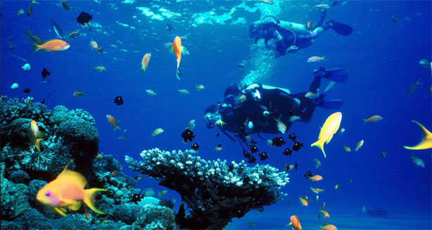 En el azul profundo y más allá 1 En el azul profundo y más allá