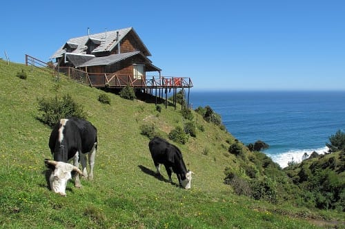 La playa m&aacute;s agreste y secreta de Chile