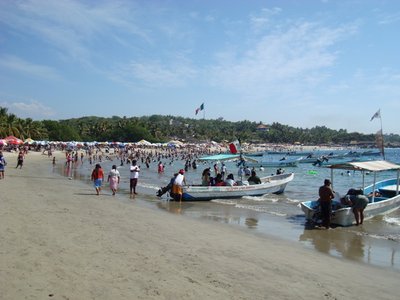Nadar con tiburones ballena 1 Nadar con tiburones ballena